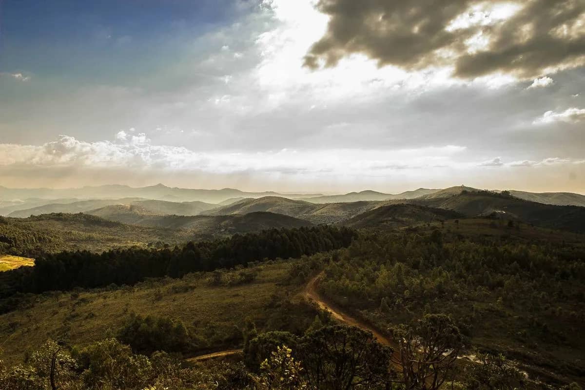 Mabel Matiz fotoğrafı 2