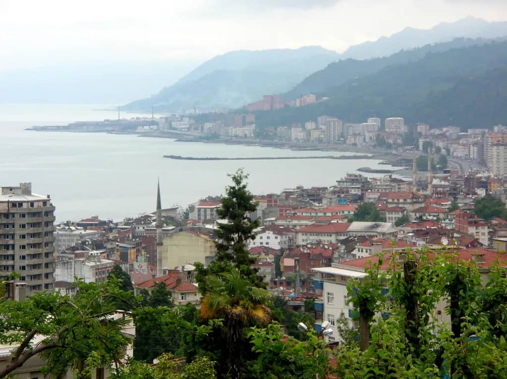 Rize görseli