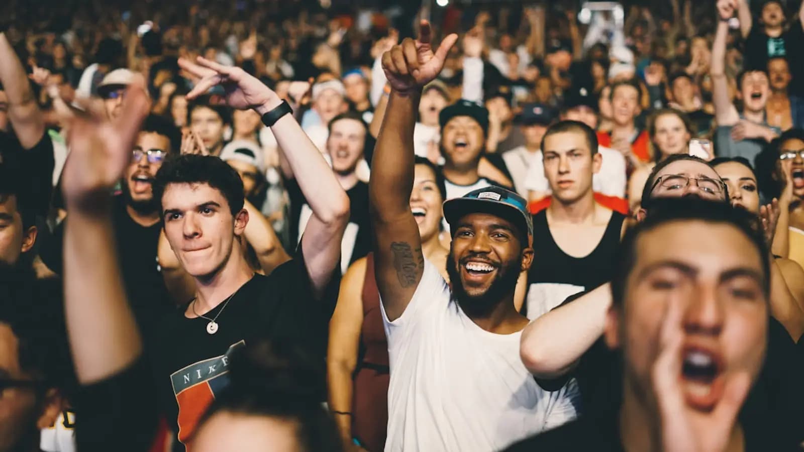Concert Crowd