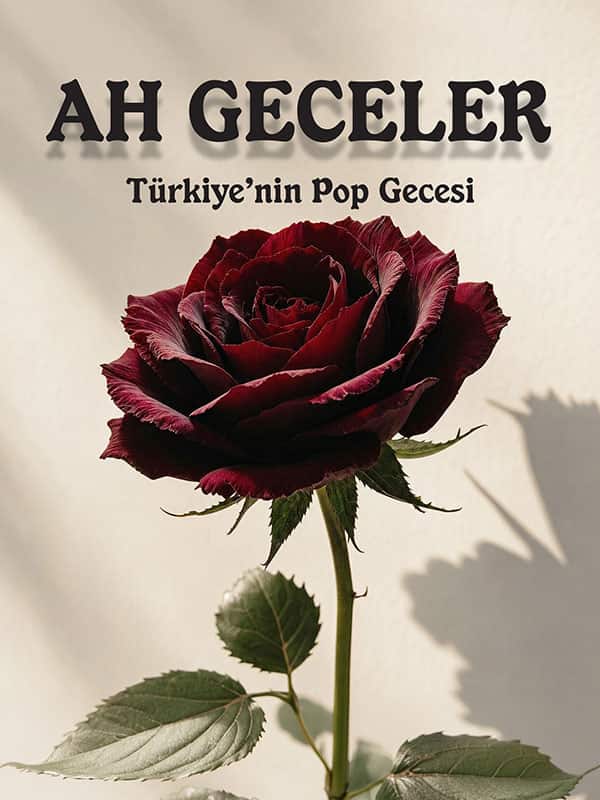 Ah Geceler afişi