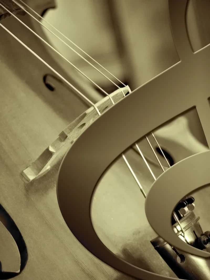 Fazıl Say (Klasik Müzik) sanatçı fotoğrafı