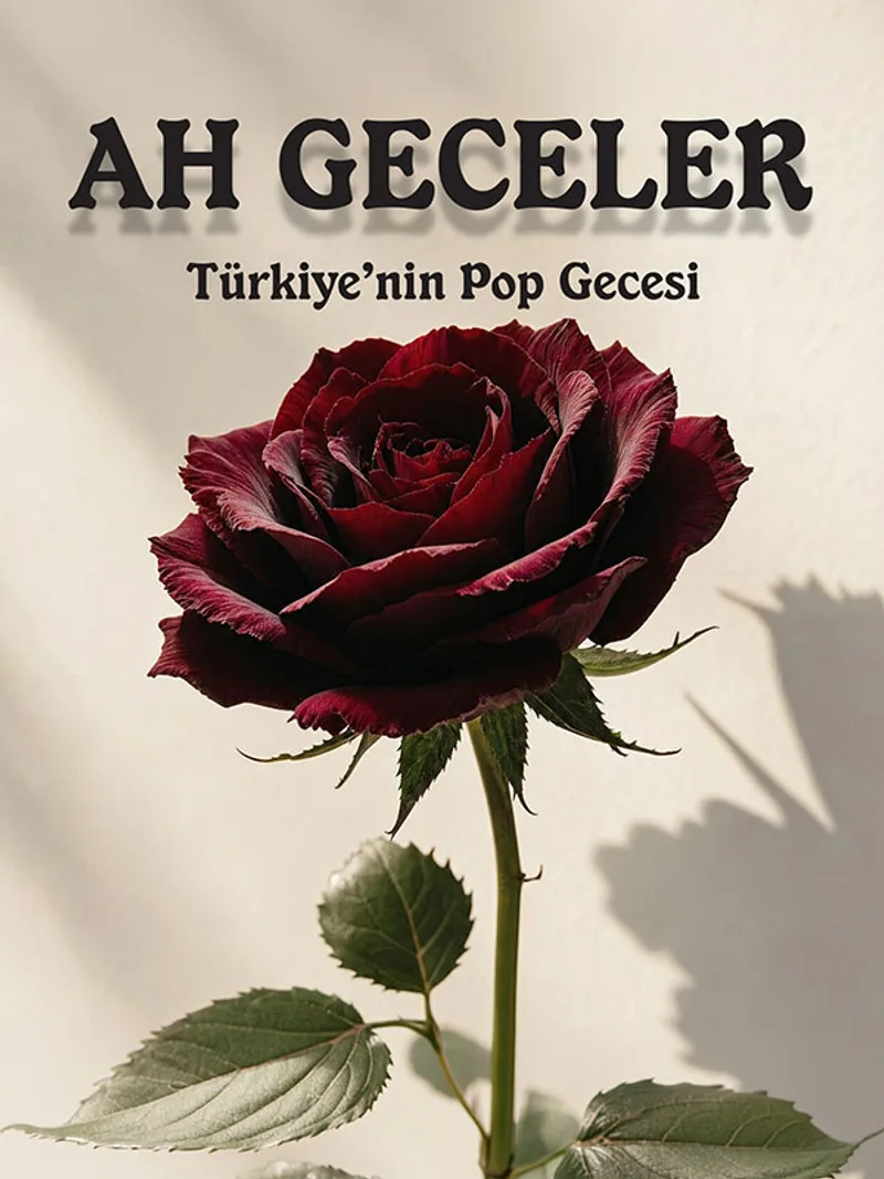 Ah Geceler