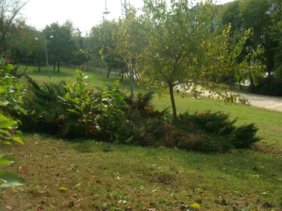 Maçka Demokrasi Parkı, CRR'nin hemen alt tarafında; konser öncesi kısa bir yürüyüş için ideal.